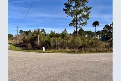 Tbd County Road 3479A, Cleveland, TX 77327 - Photo 3