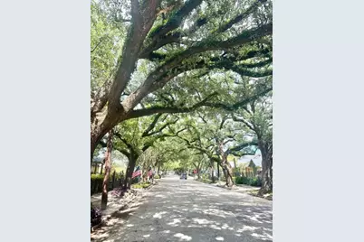 309 Bayland Avenue, Houston, TX 77009 - Photo 3