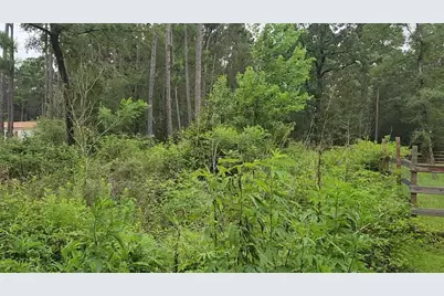 Lot 11 Scarlet Oak Drive, Plantersville, TX 77363 - Photo 19