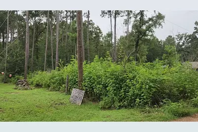 Lot 11 Scarlet Oak Drive, Plantersville, TX 77363 - Photo 7