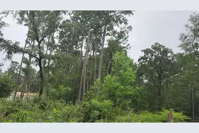 Lot 11 Scarlet Oak Drive, Plantersville, TX 77363 - Photo 17