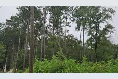 Lot 11 Scarlet Oak Drive, Plantersville, TX 77363 - Photo 5