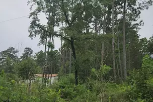 Lot 11 Scarlet Oak Dr, Plantersville, TX 77363 - Photo 1