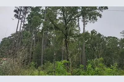 Lot 11 Scarlet Oak Drive, Plantersville, TX 77363 - Photo 15