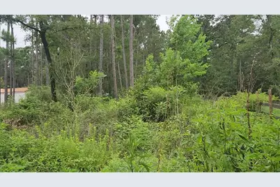 Lot 11 Scarlet Oak Drive, Plantersville, TX 77363 - Photo 11