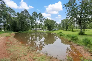 225 Lynn Hendrix Rd, Livingston, TX 77351 - Photo 5