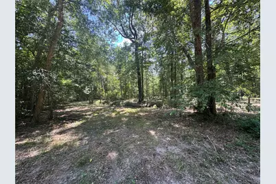 Tbd Cr 3141 W Road, Cleveland, TX 77327 - Photo 3