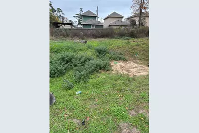 16712 E Ivanhoe, Montgomery, TX 77316 - Photo 3