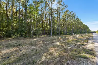 1878 Road 66116, Dayton, TX 77535 - Photo 3