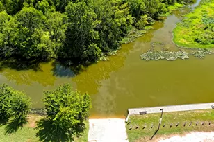 9775 Black Gum, Willis, TX 77318 - Photo 31