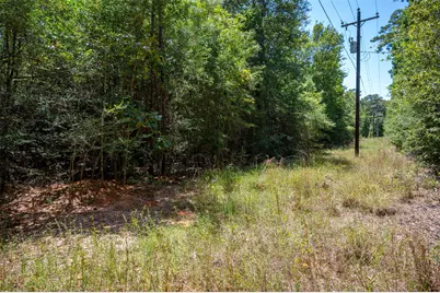 Tbd Farm To Market 92 S, Fred, TX 77616 - Photo 5