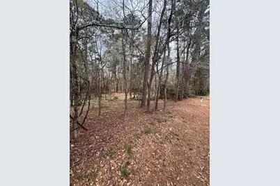 148 Brook Hollow Drive, Huntsville, TX 77340 - Photo 5