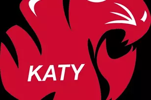 5912 T St, Katy, TX 77493 - Photo 29