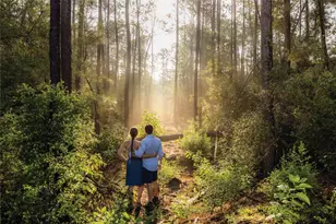 15981 Ridge Oak Rd, Willis, TX 77378 - Photo 11