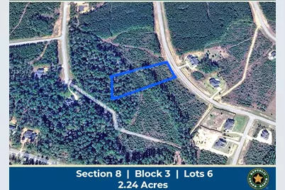 15981 Ridge Oak Road, Willis, TX 77378 - Photo 1