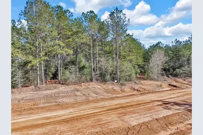 15388 Forest Grove Drive, Willis, TX 77378 - Photo 7