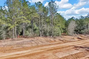 15388 Frst Grv Dr, Willis, TX 77378 - Photo 7