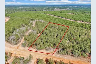 15388 Forest Grove Drive, Willis, TX 77378 - Photo 3