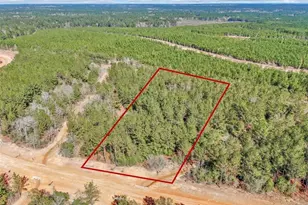 15388 Frst Grv Dr, Willis, TX 77378 - Photo 3