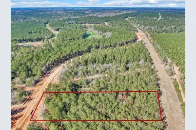 15388 Forest Grove Drive, Willis, TX 77378 - Photo 19