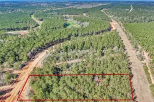 15388 Frst Grv Dr, Willis, TX 77378 - Photo 19