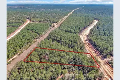 15388 Forest Grove Drive, Willis, TX 77378 - Photo 11