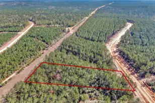 15388 Frst Grv Dr, Willis, TX 77378 - Photo 11