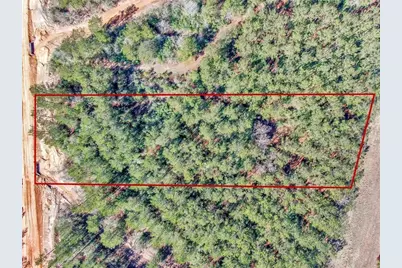 15388 Forest Grove Drive, Willis, TX 77378 - Photo 1