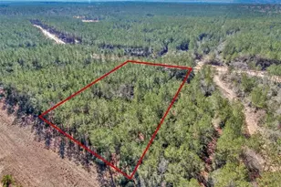 15388 Frst Grv Dr, Willis, TX 77378 - Photo 13