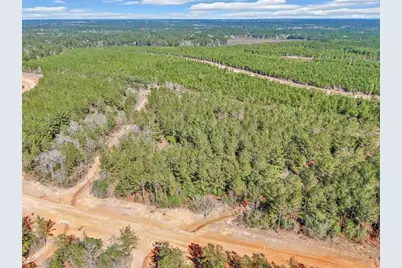 15388 Forest Grove Drive, Willis, TX 77378 - Photo 9