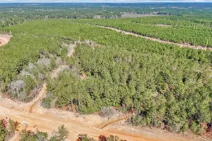 15388 Frst Grv Dr, Willis, TX 77378 - Photo 9