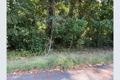 Tbd Beaver Den Drive, Coldspring, TX 77331 - Photo 7