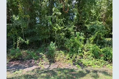 Tbd Beaver Den Drive, Coldspring, TX 77331 - Photo 1