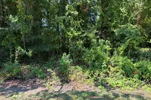 Tbd Beaver Den Dr, Coldspring, TX 77331 - Photo 1