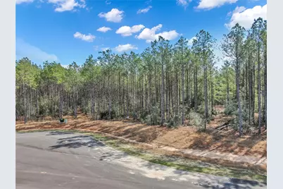 16207 Golden Wood Court, Willis, TX 77378 - Photo 9