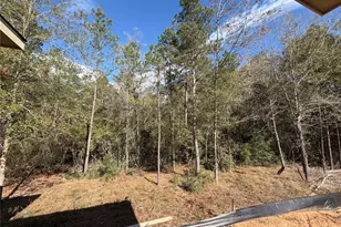 7210 Morningbrook Dr, Montgomery, TX 77316 - Photo 5