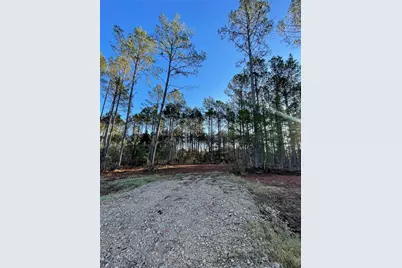 11350 Annie Creek Drive, Willis, TX 77378 - Photo 3