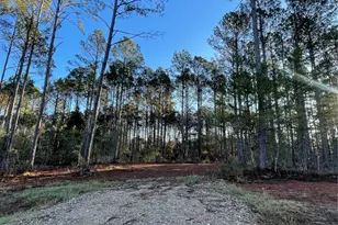 11350 Annie Creek Dr, Willis, TX 77378 - Photo 3