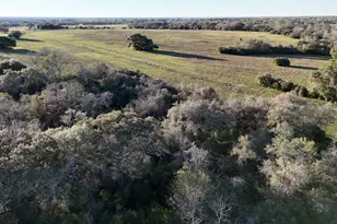 20 1290 Acres US Hwy 77 South S, Hallettsville, TX 77964 - Photo 3
