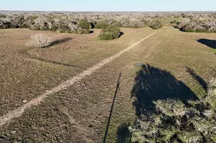 20 1290 Acres US Hwy 77 South S, Hallettsville, TX 77964 - Photo 9