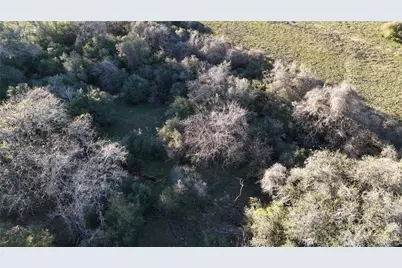 20.1290 Acres, US Hwy 77 South S, Hallettsville, TX 77964 - Photo 5