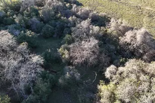 20 1290 Acres US Hwy 77 South S, Hallettsville, TX 77964 - Photo 5