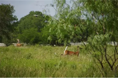000 Briggs Boulevard, Victoria, TX 77904 - Photo 21