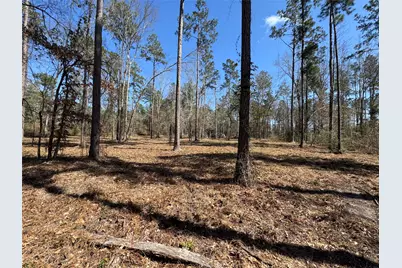 0103 Old Fm 705, Broaddus, TX 75979 - Photo 21