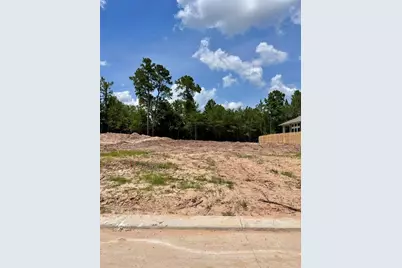 1618 Leona Lane, Montgomery, TX 77316 - Photo 5