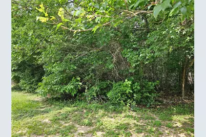 3&4 Broadmoor Court, Conroe, TX 77304 - Photo 1