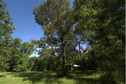 3309 Honea Egypt Road, Montgomery, TX 77316 - Photo 39