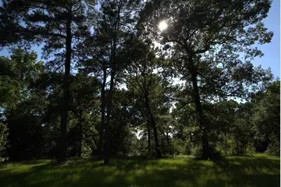 3309 Honea Egypt Road, Montgomery, TX 77316 - Photo 25