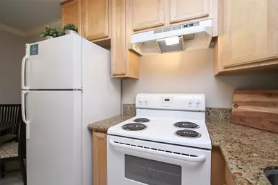1307 Welch Street #3, Houston, TX 77006 - Photo 7