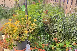 10831 Sandpiper Dr, Houston, TX 77096 - Photo 15